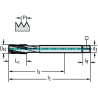 Walter TC122-M12-L1-WW60BC Machos de roscar a máquina HSS-E-PM