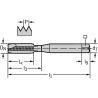 Walter TC216-M2.5-C0-WY80AA Machos de roscar a máquina HSS-E