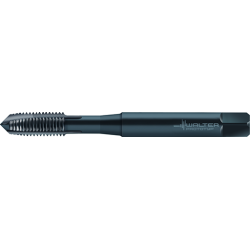 Walter TC216-M5-C0-WY80FC Machos de roscar a máquina HSS-E