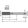 Walter TC410-M10X1-L6-WY80AD Laminadores a máquina HSS-E