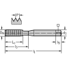 Walter TC420-M10-C0-WW60AD Laminadores a máquina HSS-E-PM