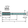 Walter TC420-M10X1-L2-WW60BA Laminadores a máquina HSS-E-PM