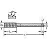 Walter TC420-M12-L0-WW60AD Laminadores a máquina HSS-E-PM