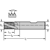 Walter TC610-G1/2-W0-WJ30RC Fresas de roscar MDI