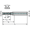 Walter TC620-M14-A1D-WB10TJ Fresas de roscar de varias hileras