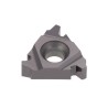 Tungaloy 16ER8ACME AH725