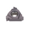 Tungaloy 16IR10RAPI T313V Placa de Roscado