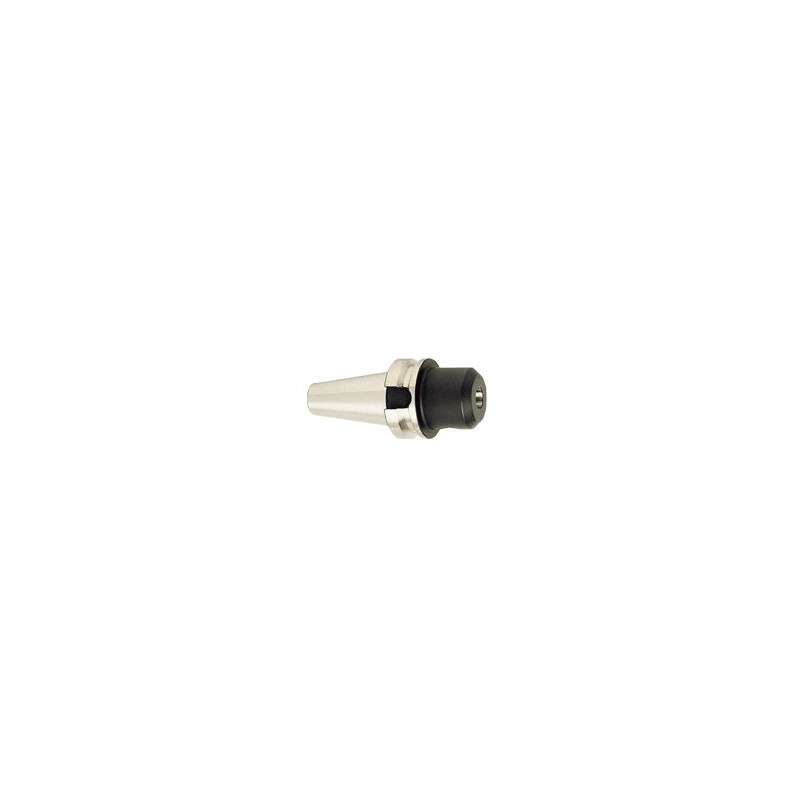 Tungaloy BT30EM6X50 