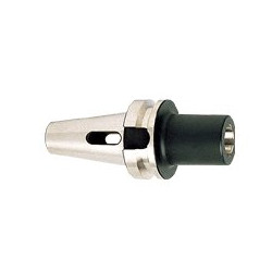 Tungaloy BT30MT2X60 