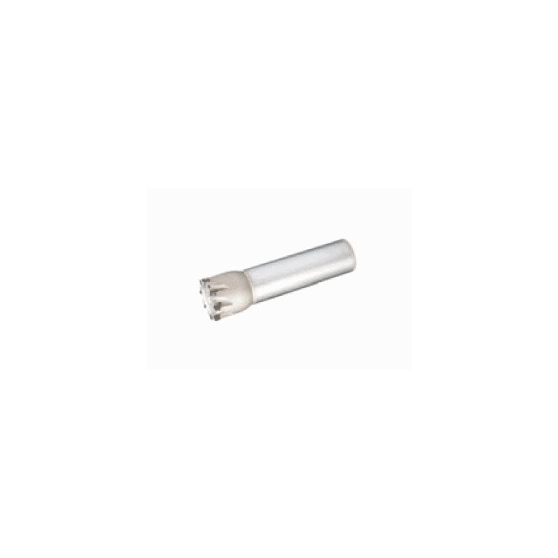 Tungaloy EPD05R025M20.0W05 Tungaloy EPD05R025M20.0W05