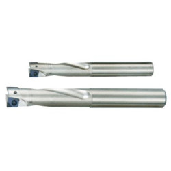 Tungaloy EVH06R010M10.0-02 