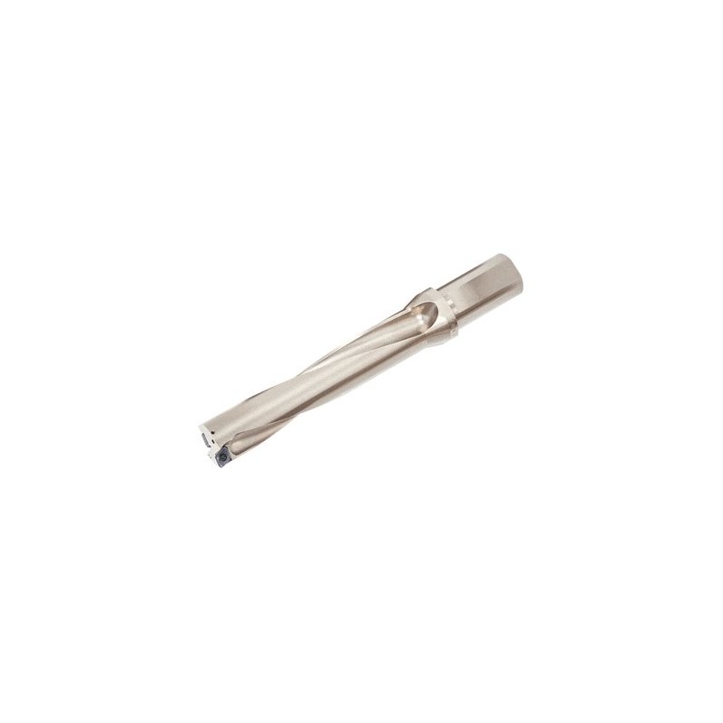 Tungaloy TDX175F25-5 