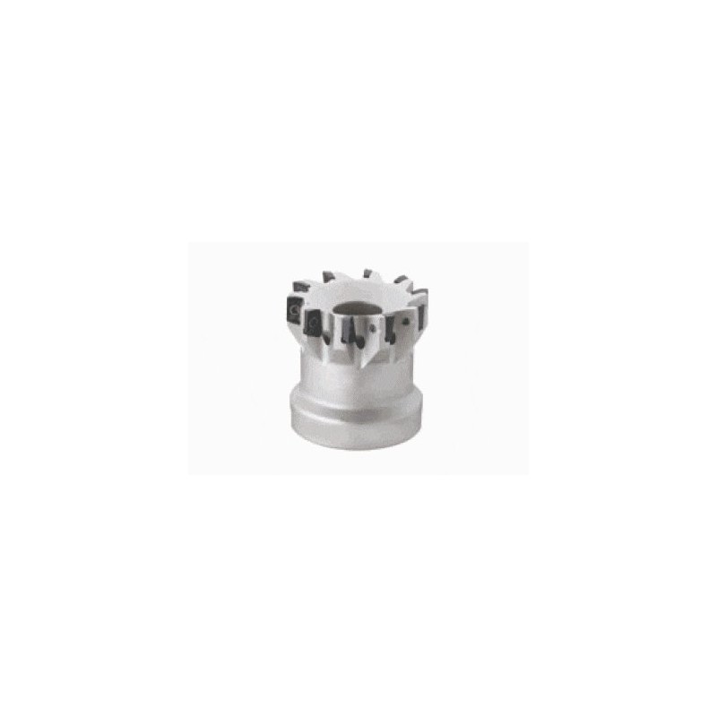 Tungaloy TPO07R050M22.0E12 Tungaloy TPO07R050M22.0E12