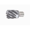 Tungaloy VED160L12.0R05-08S10 AH725