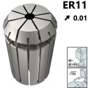 Pinzas de Sujección tipo ER11 Precision 0,01, con capacidad 1mm