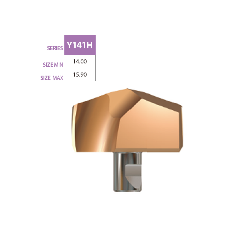 Micro Grain cardibe Insert Y141H Micro Grain cardibe Insert Y141H