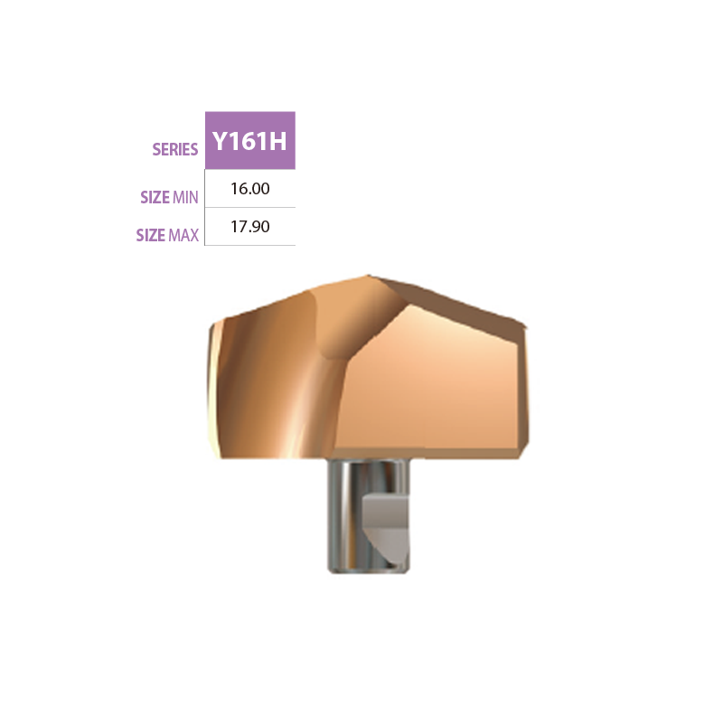 Micro Grain cardibe Insert Y161H Micro Grain cardibe Insert Y161H