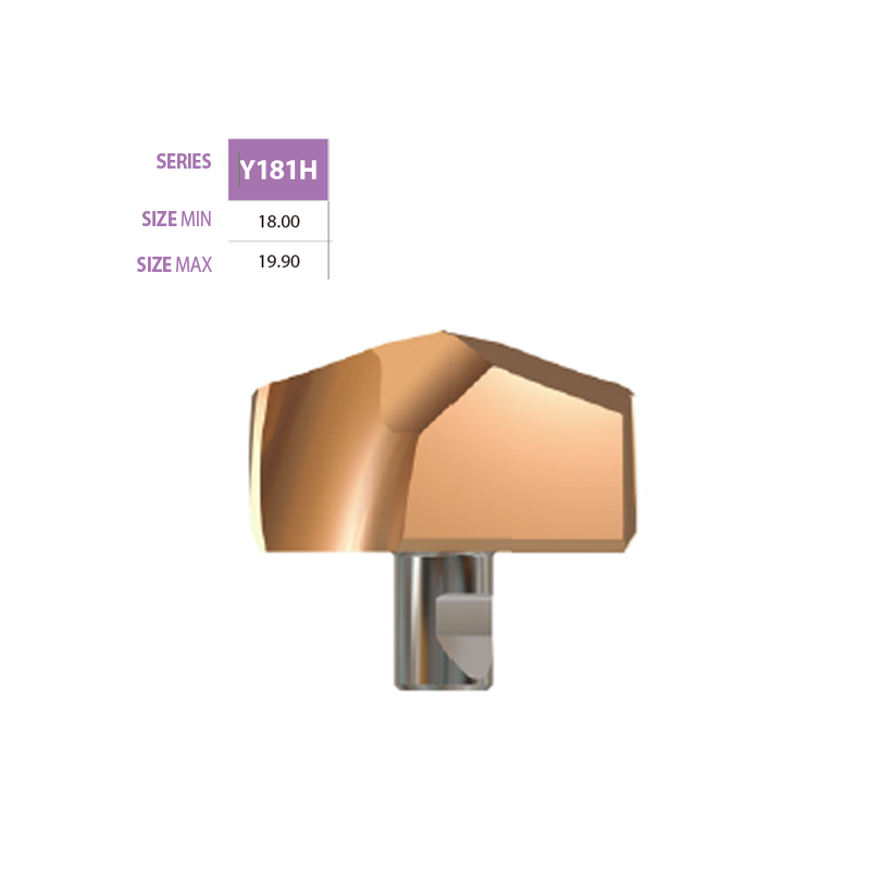 Micro Grain cardibe Insert Y181H Micro Grain cardibe Insert Y181H