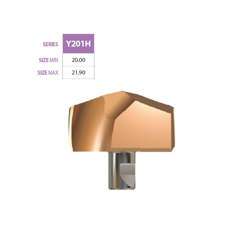 Micro Grain cardibe Insert Y201H