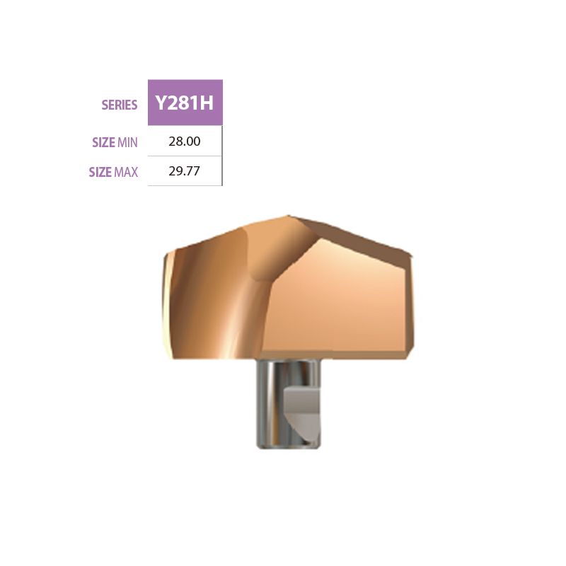 Micro Grain cardibe Insert Y281H Micro Grain cardibe Insert Y281H