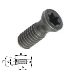 Tornillo recambio Torx