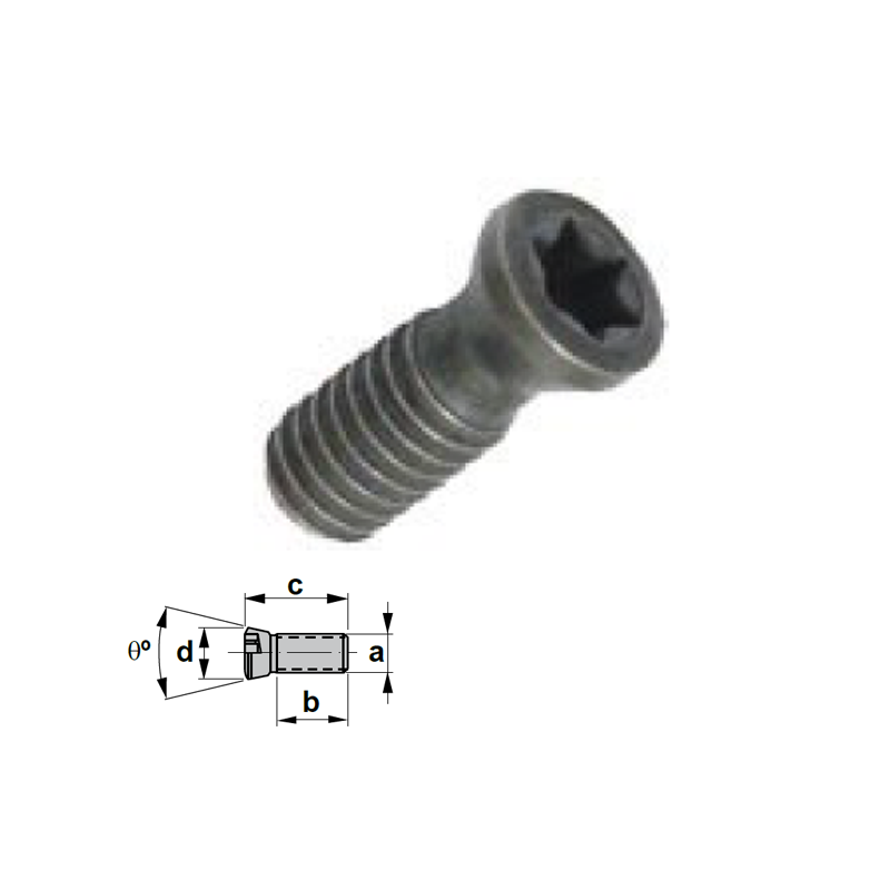 Tornillo recambio Torx