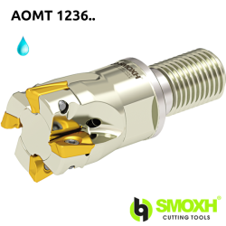 Face Mill Shoulder MT90 AOMT 1236.. WLTR adaptable for AOMT 1236..