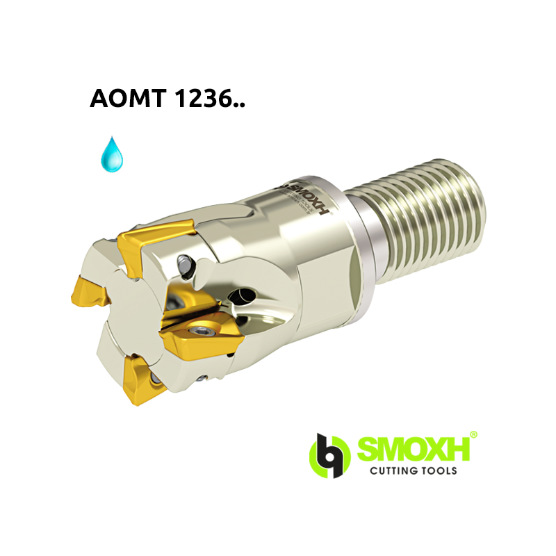 Fresa de escuadrar cabeza roscada MT90 AOMT 1236.. WLTR con ángulo 90º adaptable AOMT 1236..