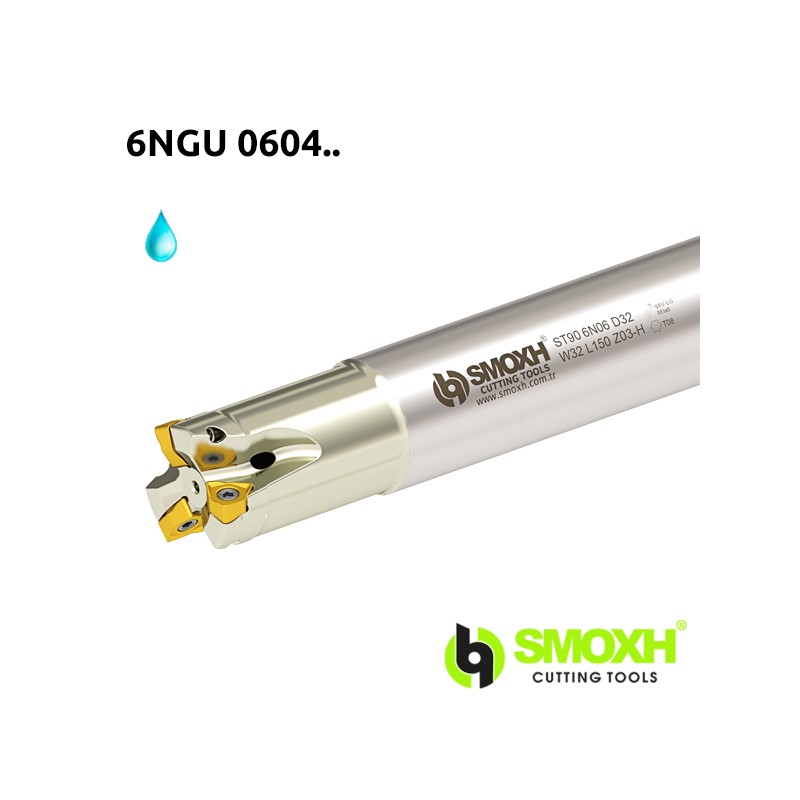 Face Mill Shoulder ST90 6NGU 0604.. adaptable for 6NGU 0604.. Face Mill Shoulder ST90 6NGU 0604.. adaptable for 6NGU 0604..
