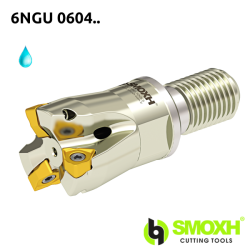 Face Mill Shoulder MT90 6NGU 0604.. adaptable for 6NGU 0604..