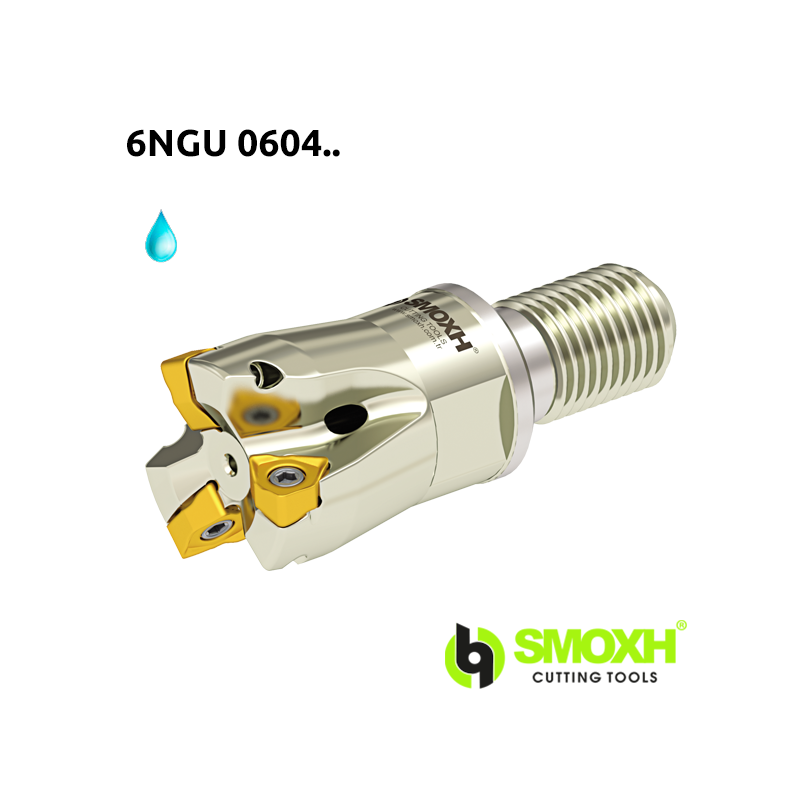 Face Mill Shoulder MT90 6NGU 0604.. adaptable for 6NGU 0604.. Face Mill Shoulder MT90 6NGU 0604.. adaptable for 6NGU 0604..