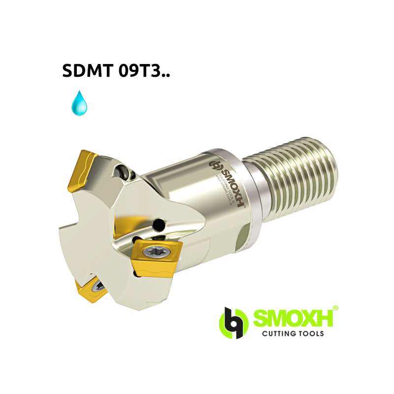 Face Mill Shoulder MT45 SDMT 09T3.. adaptable for SDMT 09T3.. Face Mill Shoulder MT45 SDMT 09T3.. adaptable for SDMT 09T3..