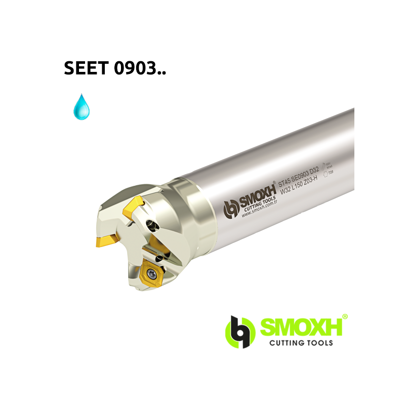 Face Mill Shoulder ST45 SEET 0903.. KRLY adaptable for SEET 0903.. Face Mill Shoulder ST45 SEET 0903.. KRLY adaptable for SEET 0903..