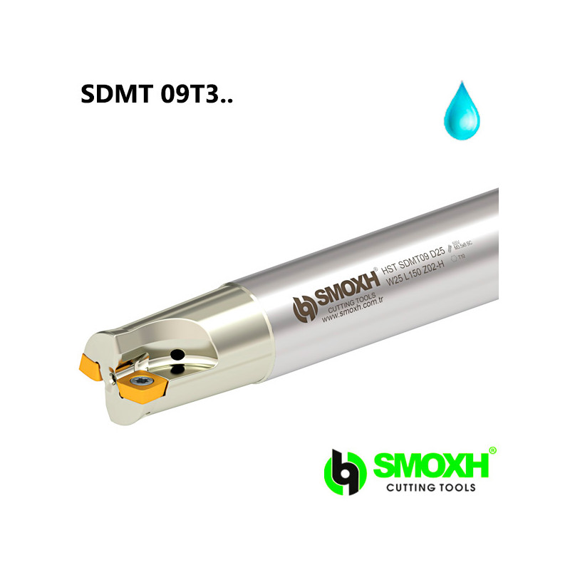 Milling Holder HST for SDMT insert Milling Holder HST for SDMT insert