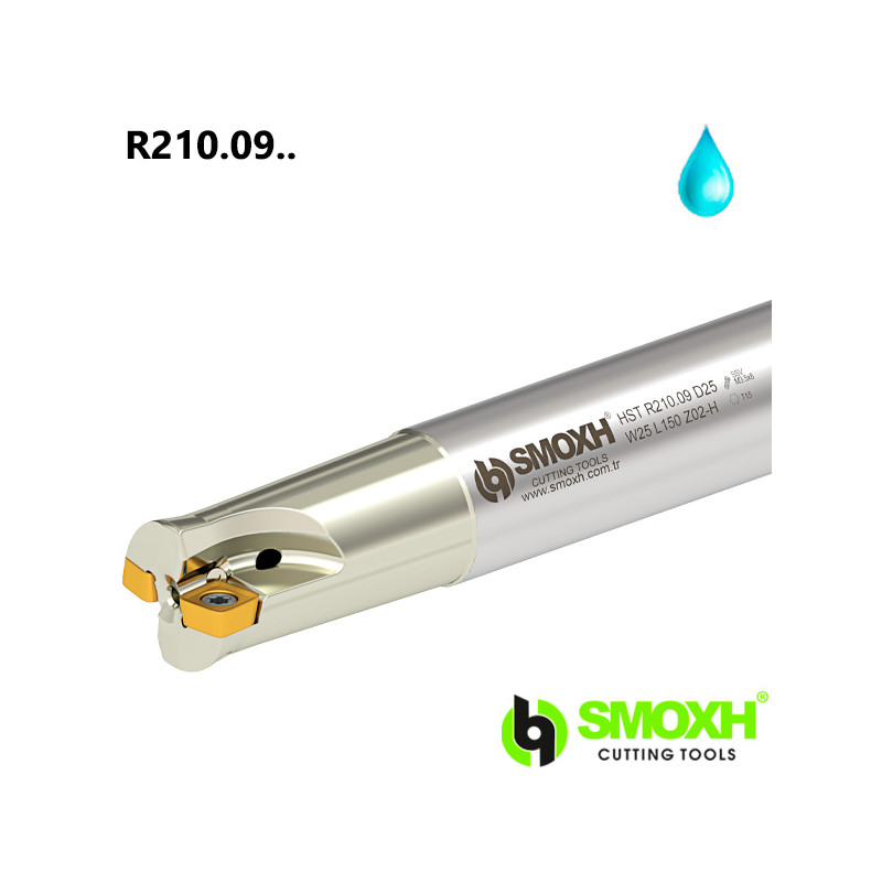 Portaherramientas de fresado HST para plaquita R210.09.. Portaherramientas de fresado HST para plaquita R210.09..