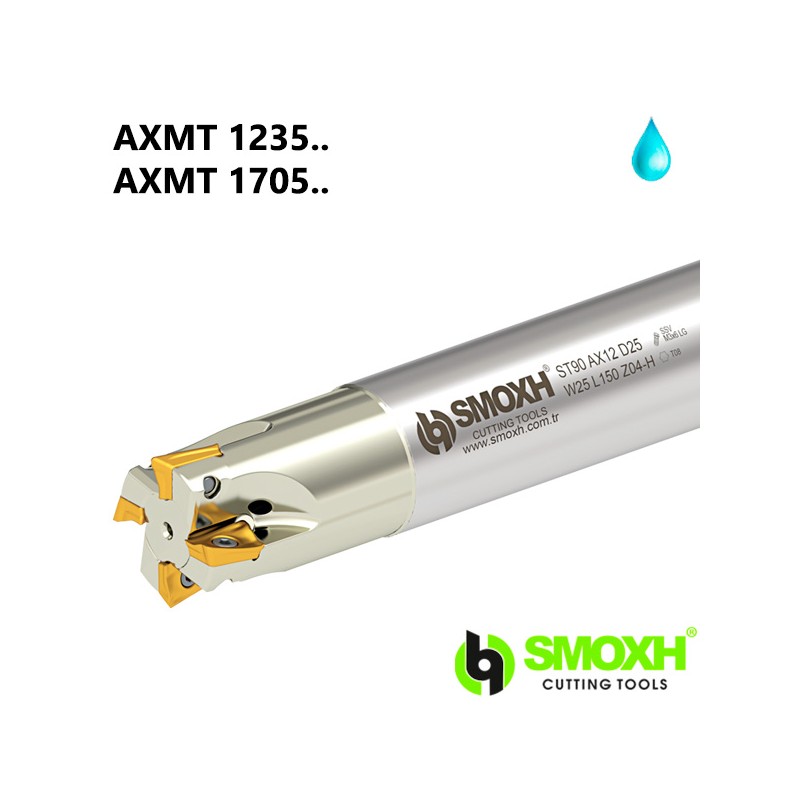 Milling Holder ST90 AXMT
1235 / 1705.. Milling Holder ST90 AXMT
1235 / 1705..