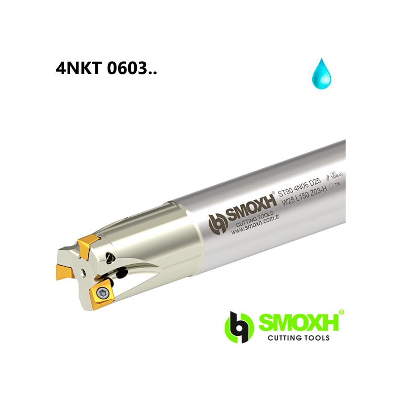 Milling Holder ST90 4NKT
0603.. Milling Holder ST90 4NKT
0603..
