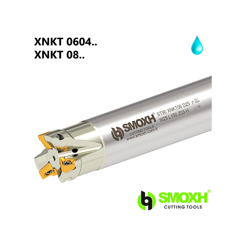 Milling Holder ST90 XNKT
0604 / 0805.. Milling Holder ST90 XNKT
0604 / 0805..