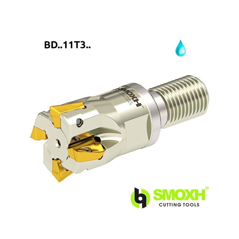 Milling holder with screw head MT90 BDMT
1103.. Milling holder with screw head MT90 BDMT
1103..