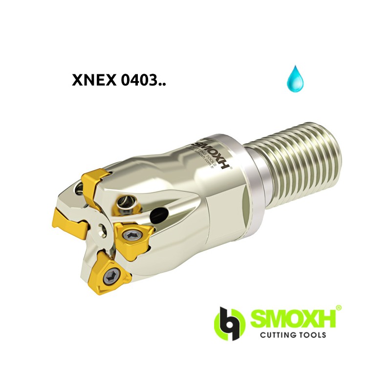 Milling holder with screw head MT90 XNEX
0403.. Milling holder with screw head MT90 XNEX
0403..