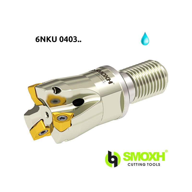 Milling holder with screw head MT90 6NKU 0403.. Milling holder with screw head MT90 6NKU 0403..