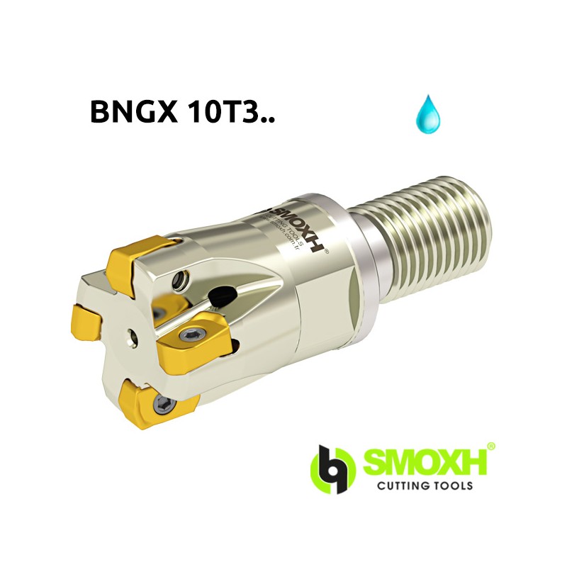 Portaherramientas de Cabeza Roscado de fresado MHT BNGX 10T3.. Portaherramientas de Cabeza Roscado de fresado MHT BNGX 10T3..
