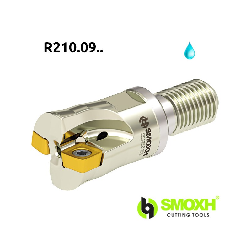Milling holder with screw head MHT R210.09.. Milling holder with screw head MHT R210.09..