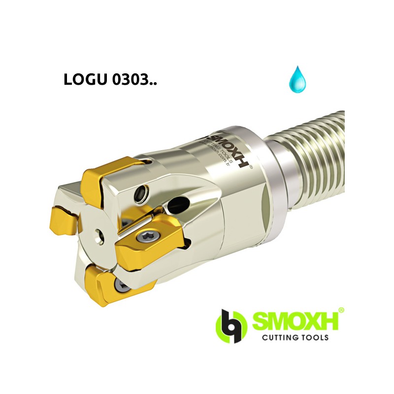 Milling holder with screw head MHT LOGU
0303.. Milling holder with screw head MHT LOGU
0303..