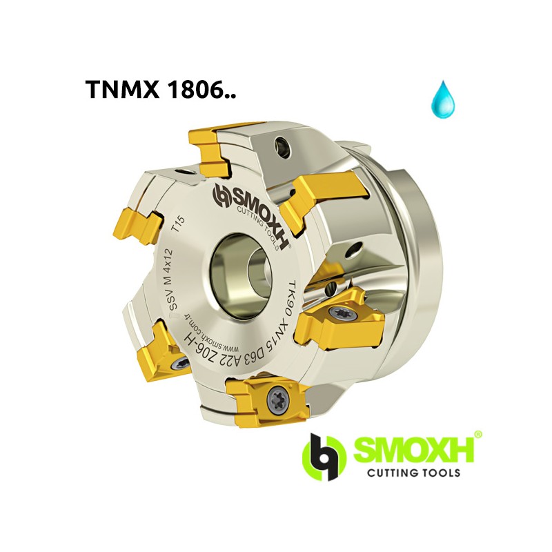 Face Mill Shoulder TK90 TNMX 1806.. 90º adaptable for TNMX 1806 Face Mill Shoulder TK90 TNMX 1806.. 90º adaptable for TNMX 1806