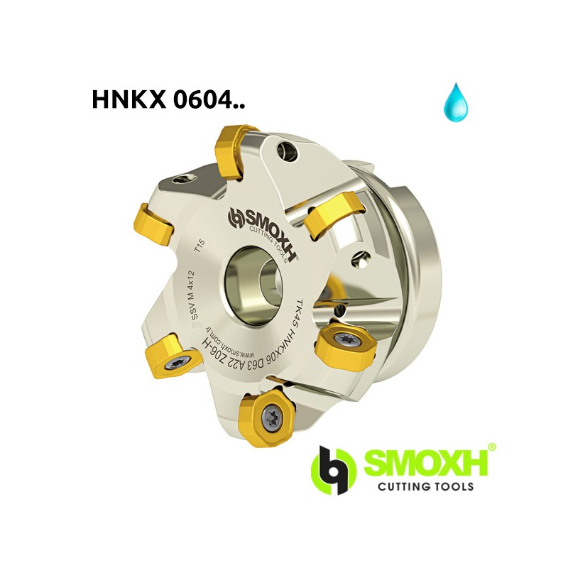 Face Mill Shoulder TK45 HNKX 0604..45º adaptable for HNKX 0604 Face Mill Shoulder TK45 HNKX 0604..45º adaptable for HNKX 0604