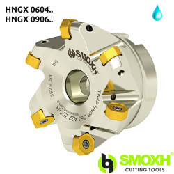 Face Mill Shoulder TK45 HNGX 0604 / 0906..45º adaptable for HNGX 0604 / 0906