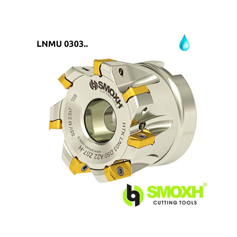 Face Milling Cutter HTK LNMU 0303/06X5 Face Milling Cutter HTK LNMU 0303/06X5