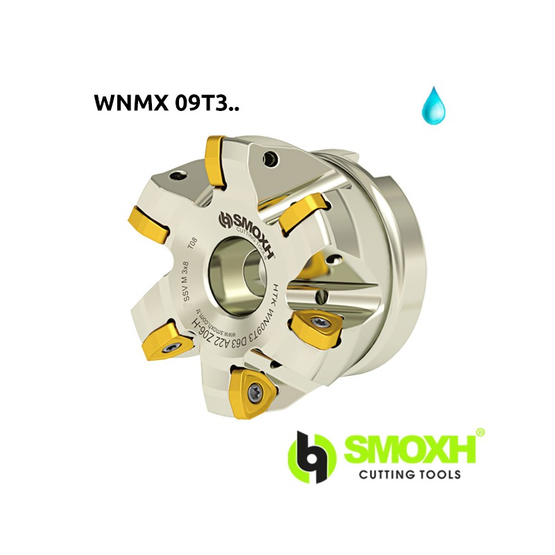 Face Milling Cutter HTK WNMX
09T3..-KRLY Face Milling Cutter HTK WNMX
09T3..-KRLY