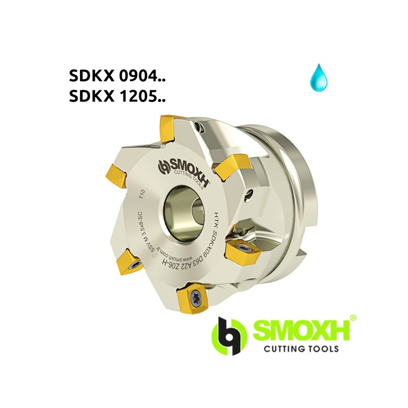 Face Milling Cutter HTK SDKX
0904 / 1205..-LMN Face Milling Cutter HTK SDKX
0904 / 1205..-LMN